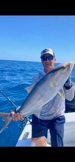 Person on a boat holding a large silver fish against a bright blue ocean backdrop