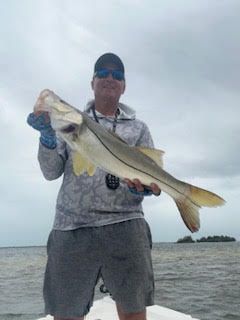 Person holding a large silver fish on a beach under cloudy skies