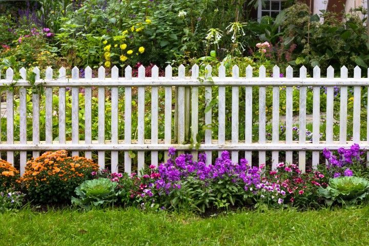 White picket fence in front of a colorful flower garden with lush green grass.