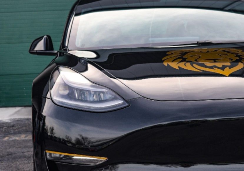 Black Tesla car with a golden lion emblem on the hood, parked in front of a green garage door.