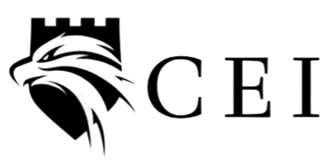 Clinical Excellence Integration LLC.