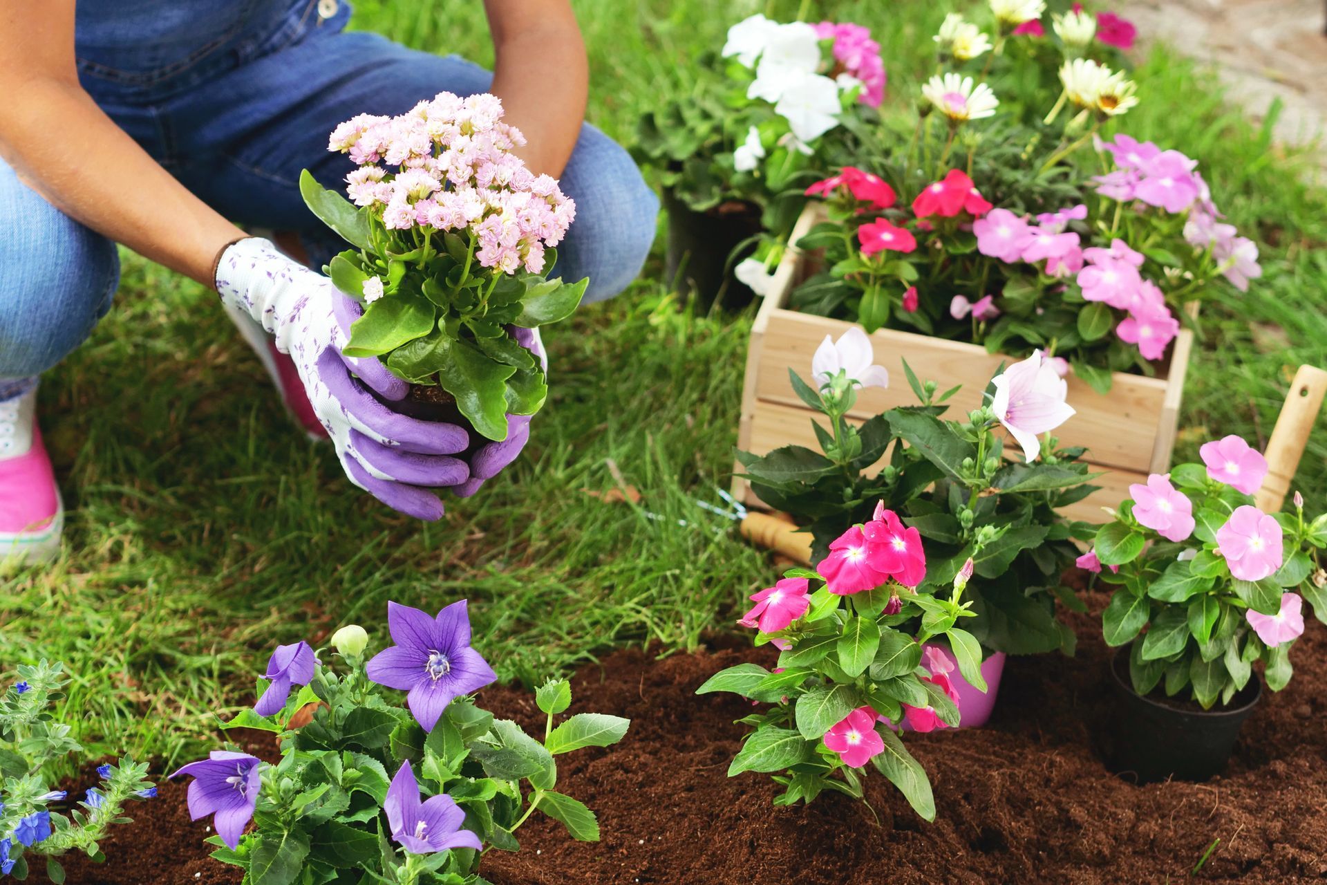 Garden Consulting in Yelm, WA