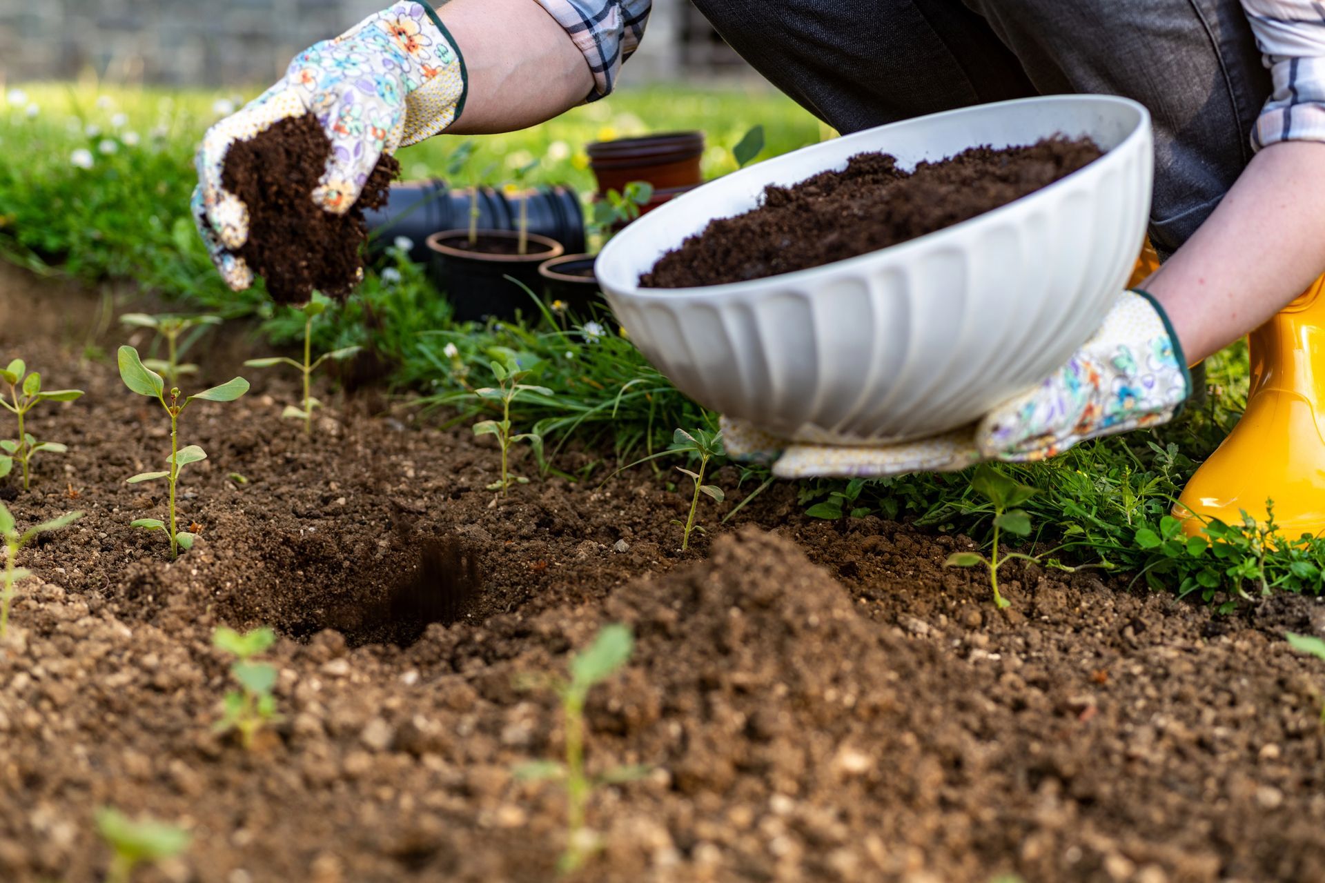 Garden Planning in Yelm, WA