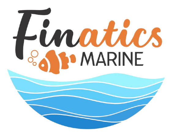 Freshwater & Marine Aquarium Shop in Port Macquarie Freshwater & Marine Aquarium Shop in Port Macquarie