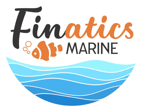 Freshwater & Marine Aquarium Shop in Port Macquarie Freshwater & Marine Aquarium Shop in Port Macquarie