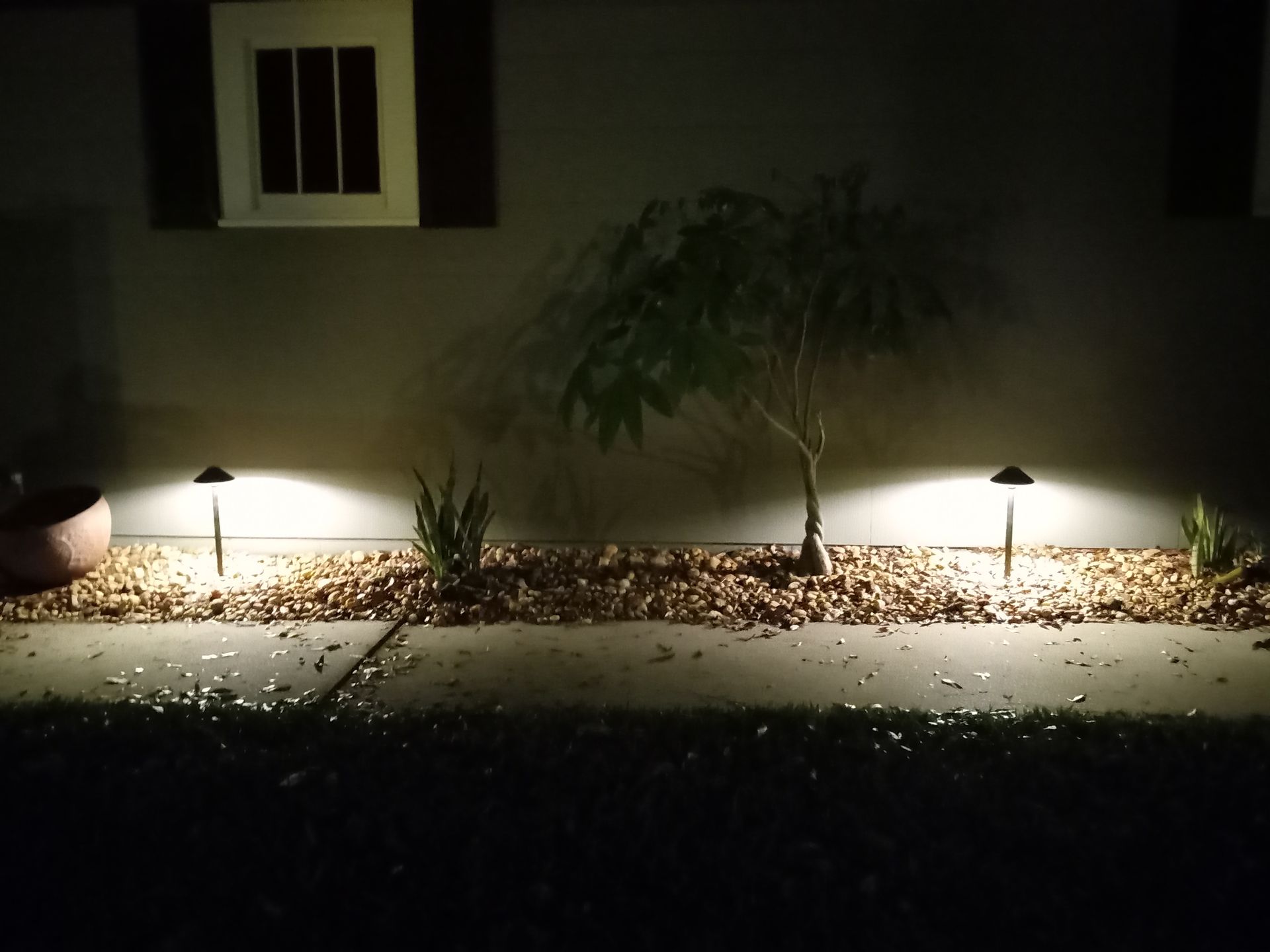 Dimly lit front yard with two pathway lights, a small tree, and a house wall at night