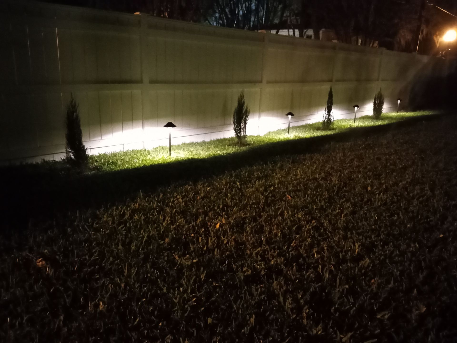Nighttime backyard with a lit fence and small landscape lights illuminating the grass and shrubs
