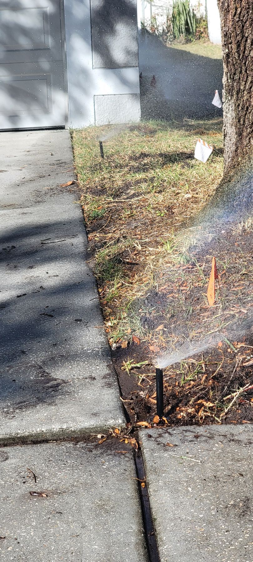Residential sidewalk with a small black metal post beside a tree and grass patch near a driveway