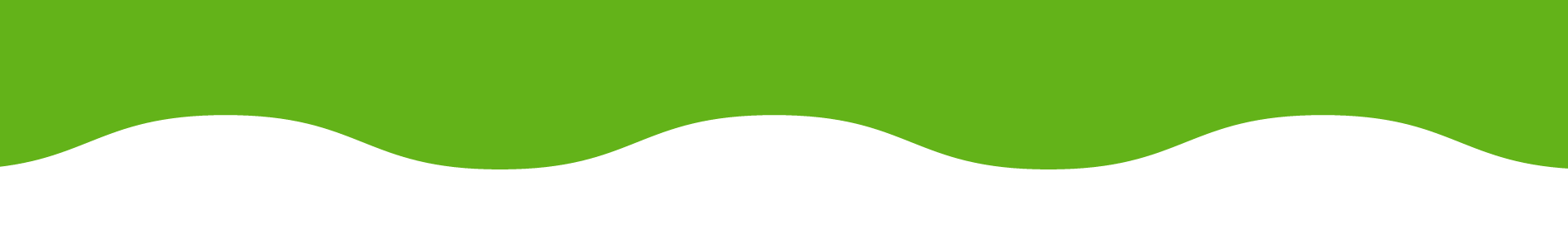 Green horizontal stripe with a wavy, white bottom edge.
