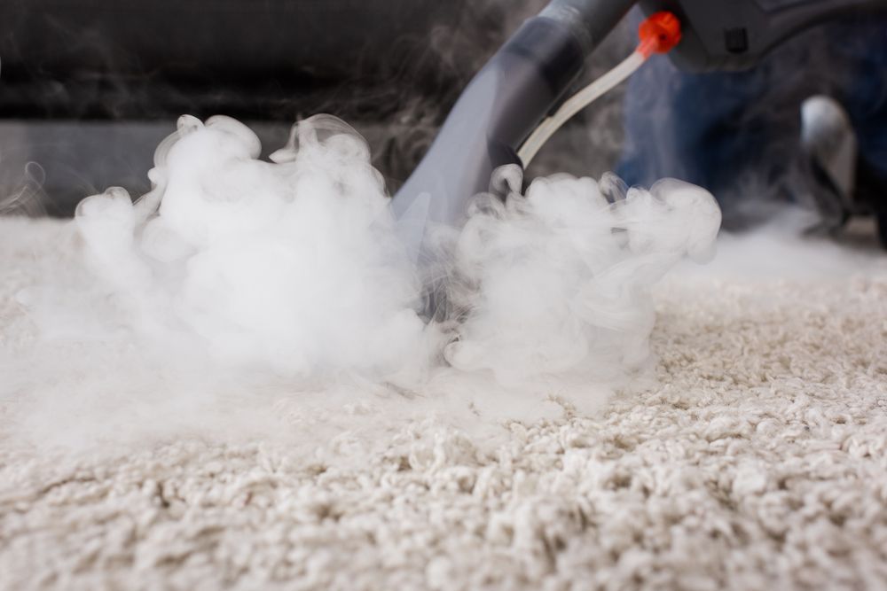 A person is using a steam cleaner to clean a carpet.