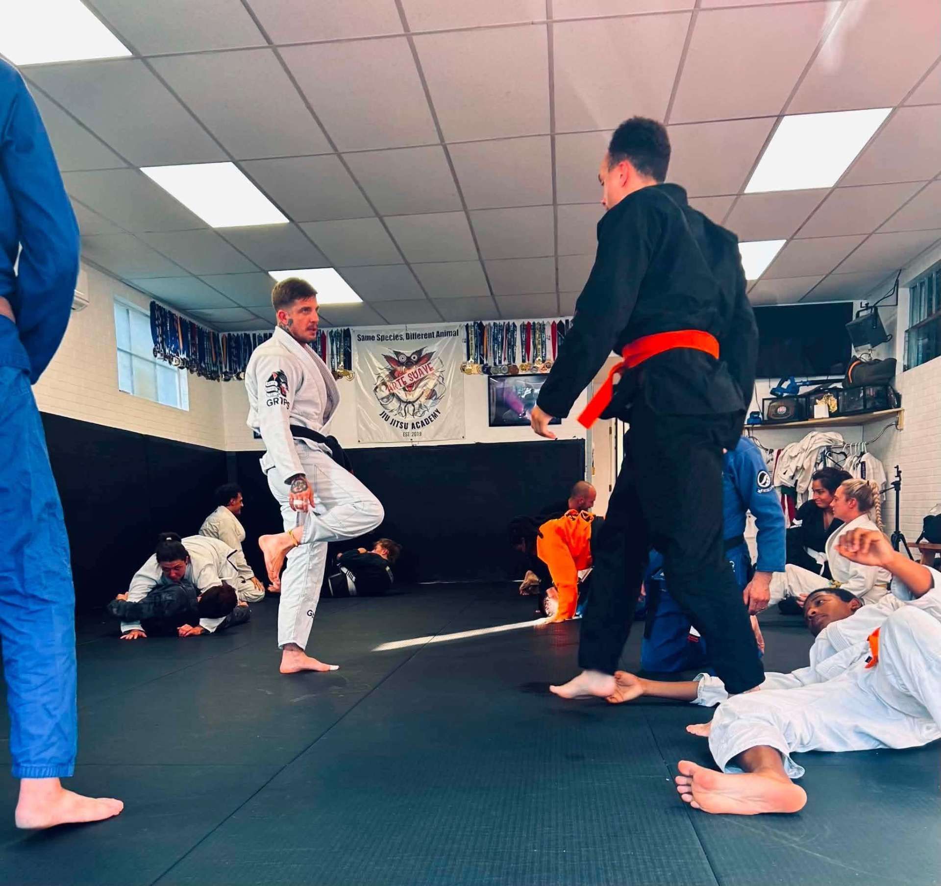 Martial arts class on padded mats, students in white and black gis practicing in Arte Suave in Beckley, WV