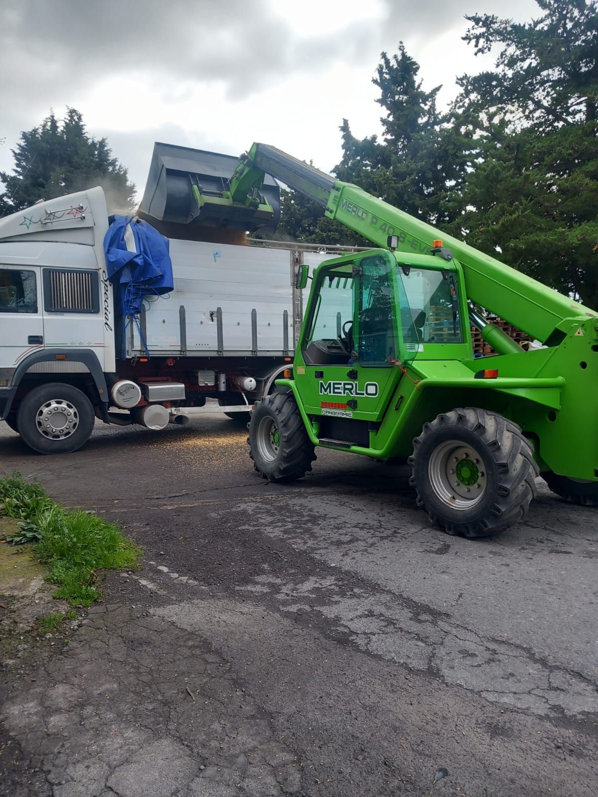Un sollevatore telescopico verde brillante carica materiali sfusi nel cassone aperto di un autocarro ribaltabile bianco parcheggiato in un piazzale esterno asfaltato.