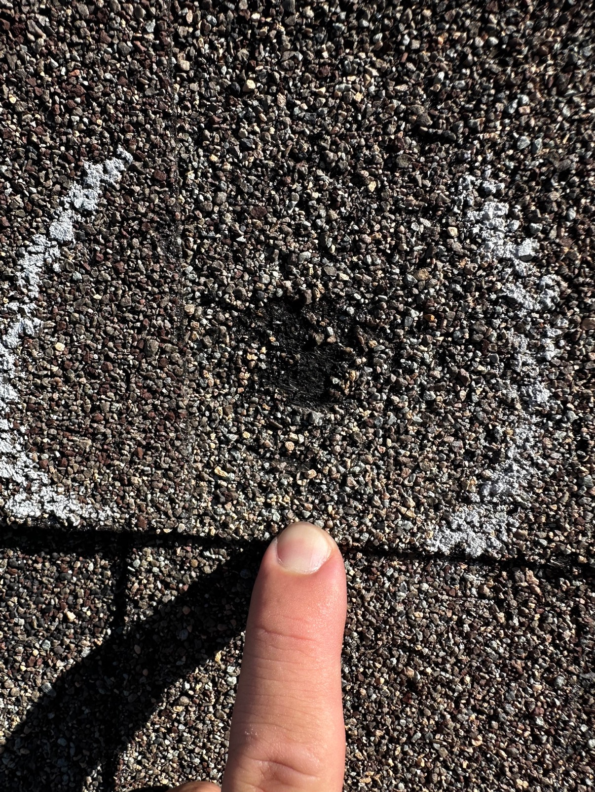 A finger points to a circular chalk mark on an asphalt roof shingle, highlighting a small area of damaged granules.
