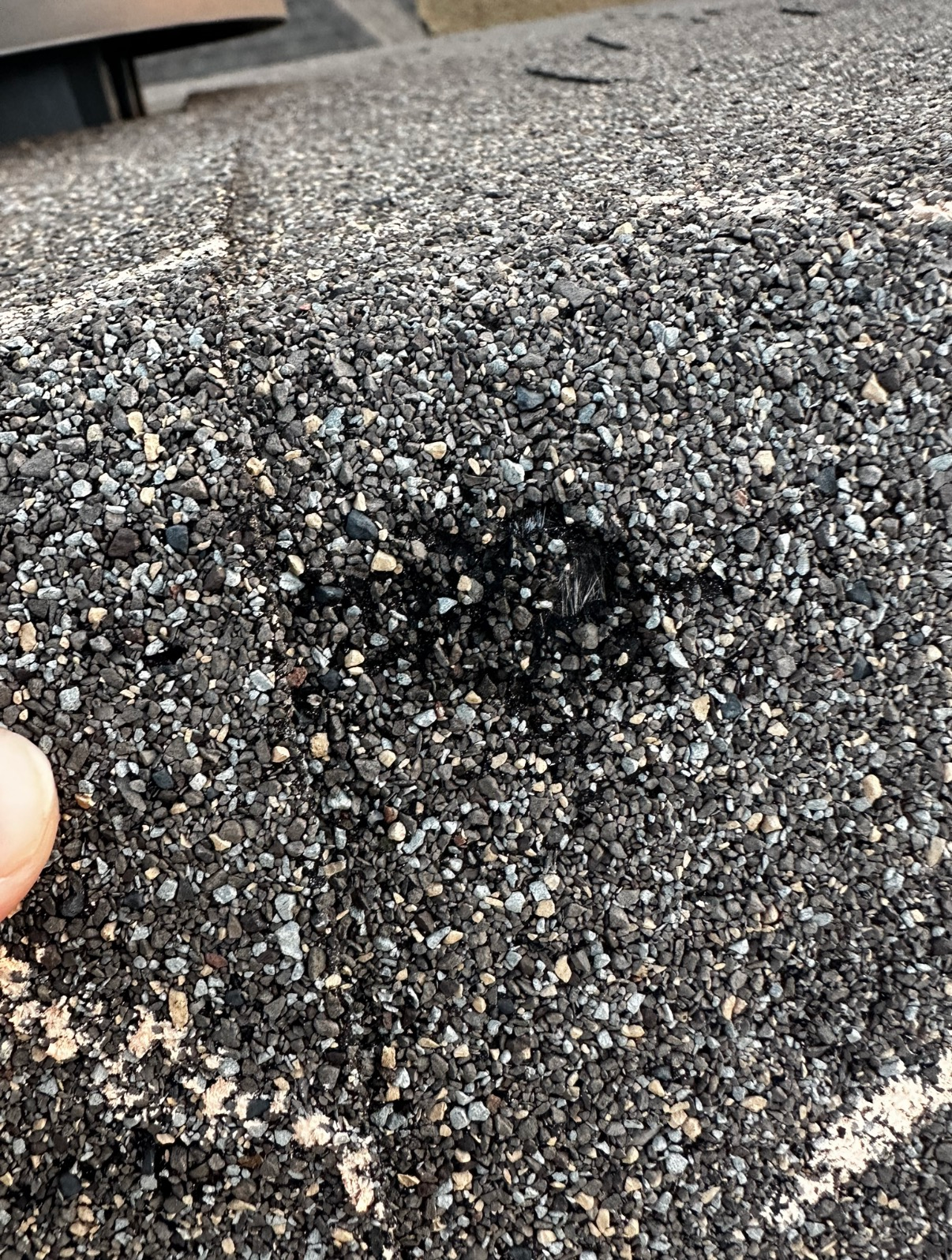 A close-up of a damaged gray asphalt roof shingle showing a dark, circular area where the protective granules are missing.