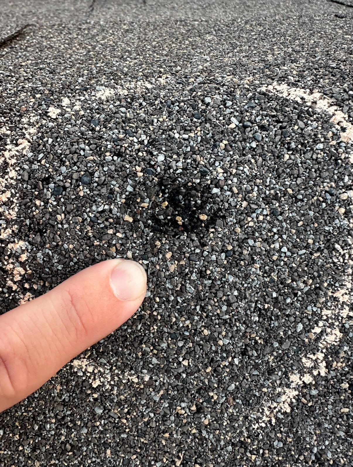 A finger points to a small, circular patch of missing granules on a dark asphalt roof shingle, marked with white chalk.