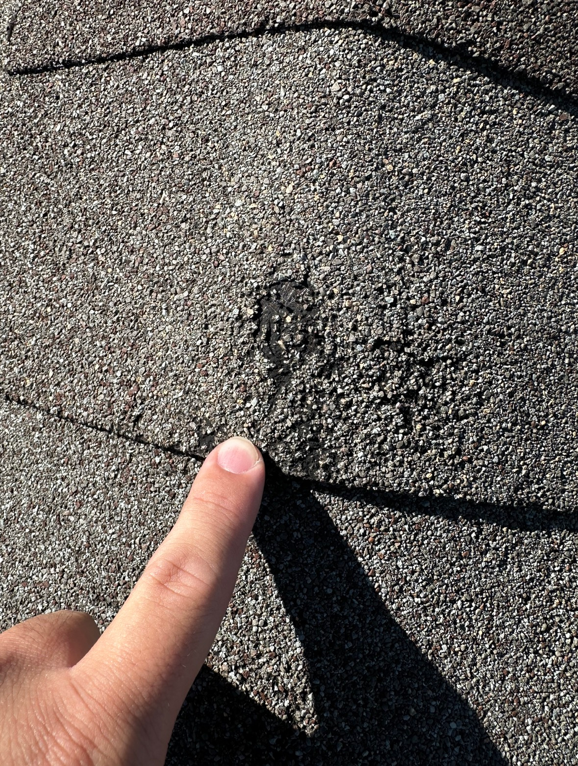 A finger points to a patch of missing asphalt granules on a textured, grey composite roof shingle.