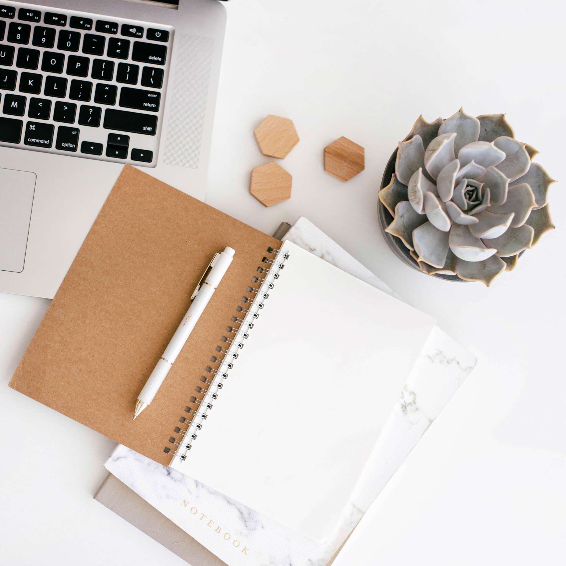 A notebook with a pen next to a laptop and a potted plant