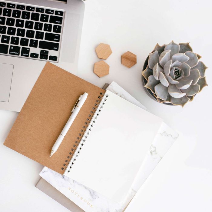 A notebook with a pen next to a laptop and a potted plant