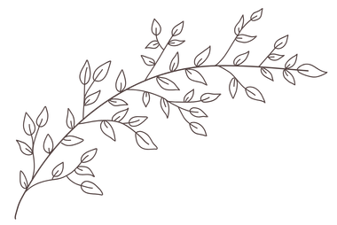 Branch with numerous small leaves, outlined in brown, arranged diagonally.
