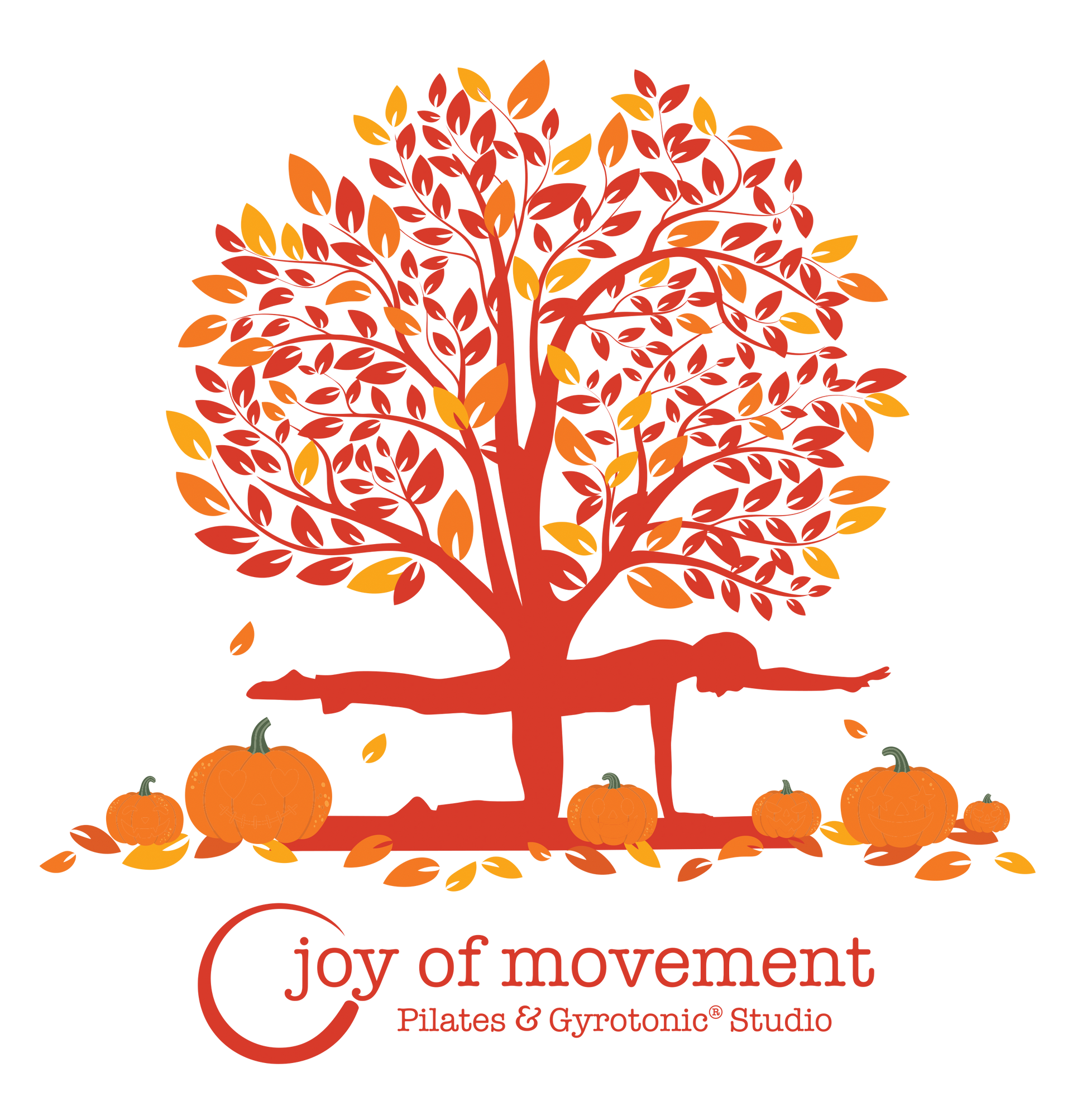 Joy of Movement Gyrotonic and Pilates Studio