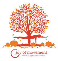 Joy of Movement Gyrotonic and Pilates Studio Joy of Movement Gyrotonic and Pilates Studio