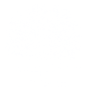 White background.
