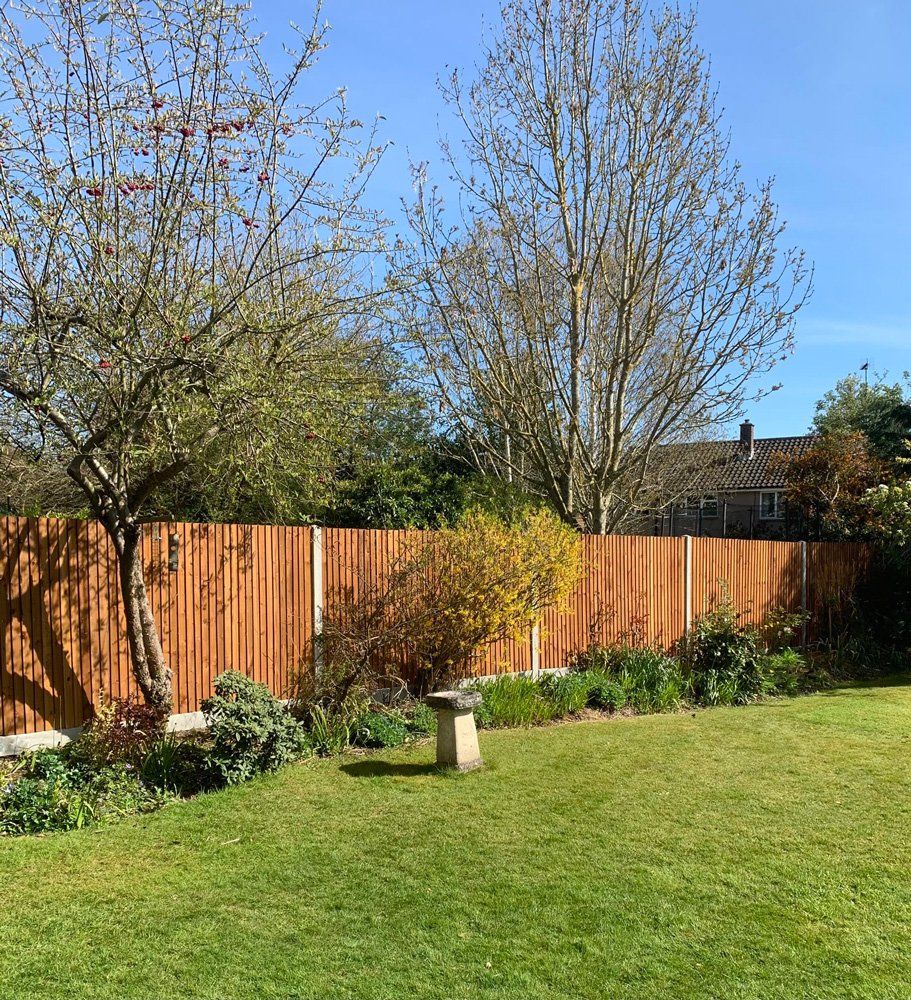 large garden with fence
