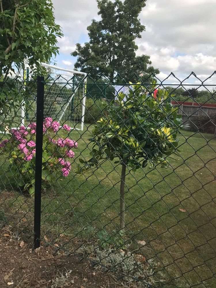 wire fencing