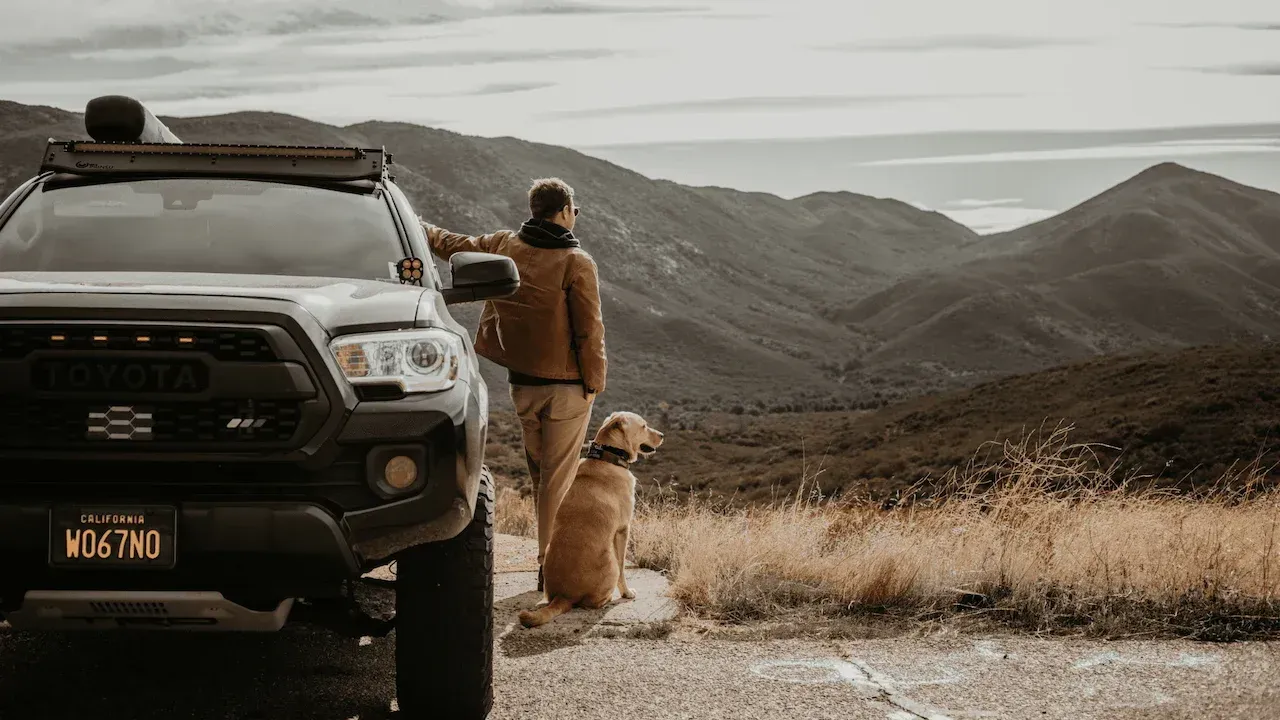 SUV parked on a mountain road as two people and a dog look over a rugged valley