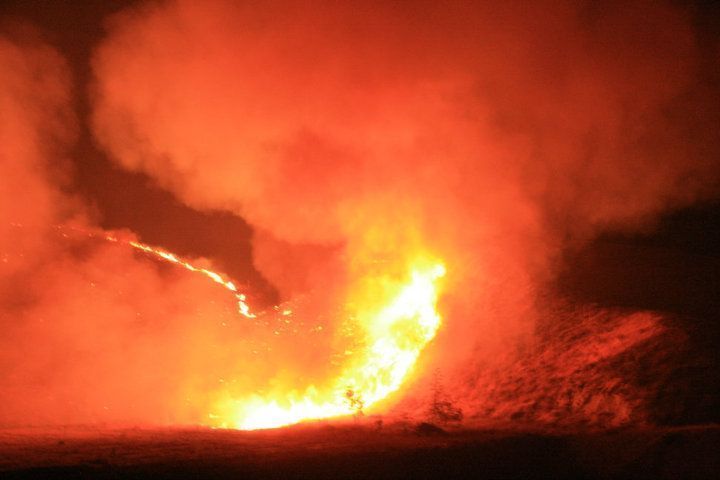 Wildfire