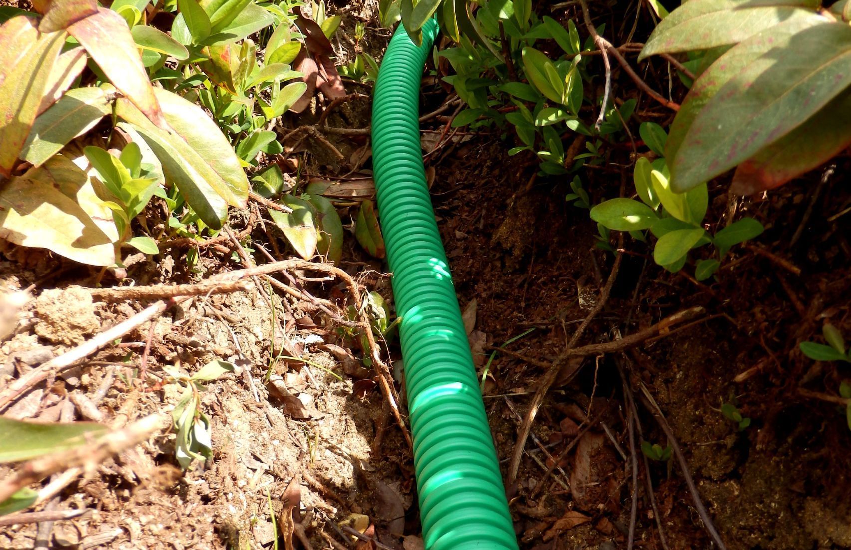 Mangueira verde corrugada atravessando a terra e as plantas em um canteiro de jardim.