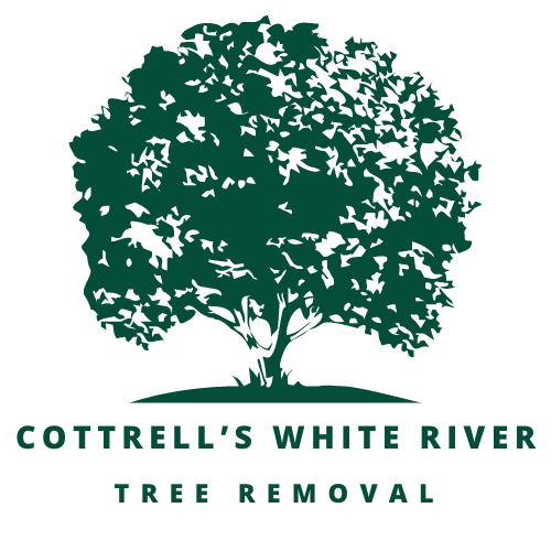 Cottrell's White River Tree Removal — MJH Legacy Solutions SEO and marketing client