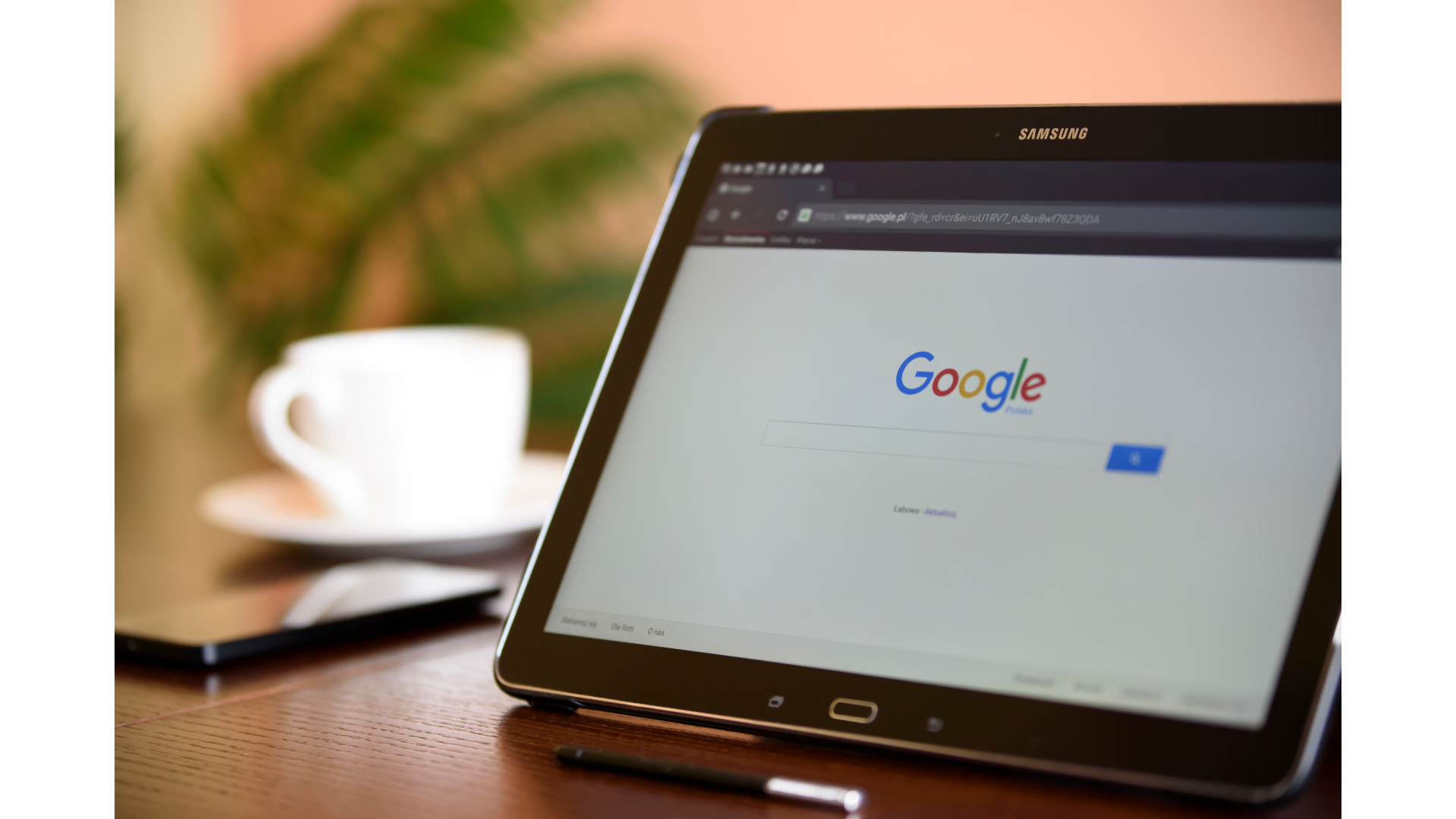 Google Business Profile optimization services for local businesses in Fayetteville Bentonville Rogers and Springdale NWA