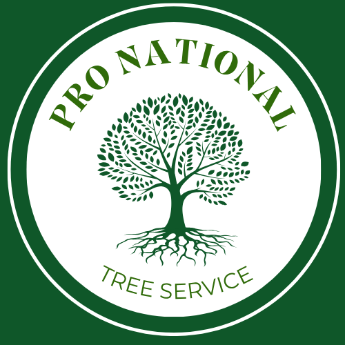 Pro National Tree Service — MJH Legacy Solutions SEO and marketing client