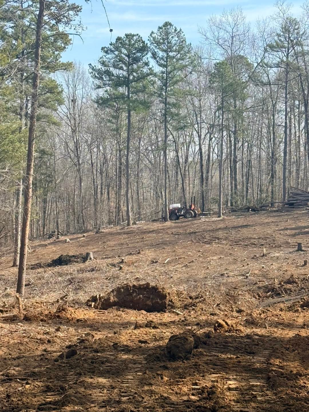 duncan land clearing
