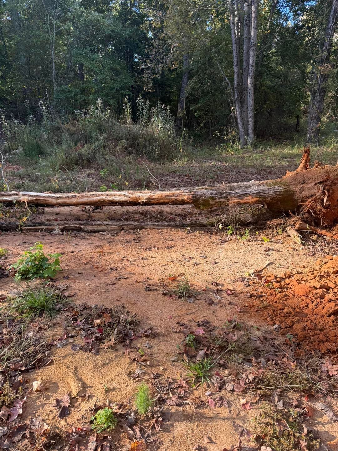 land_clearing_spartanburg