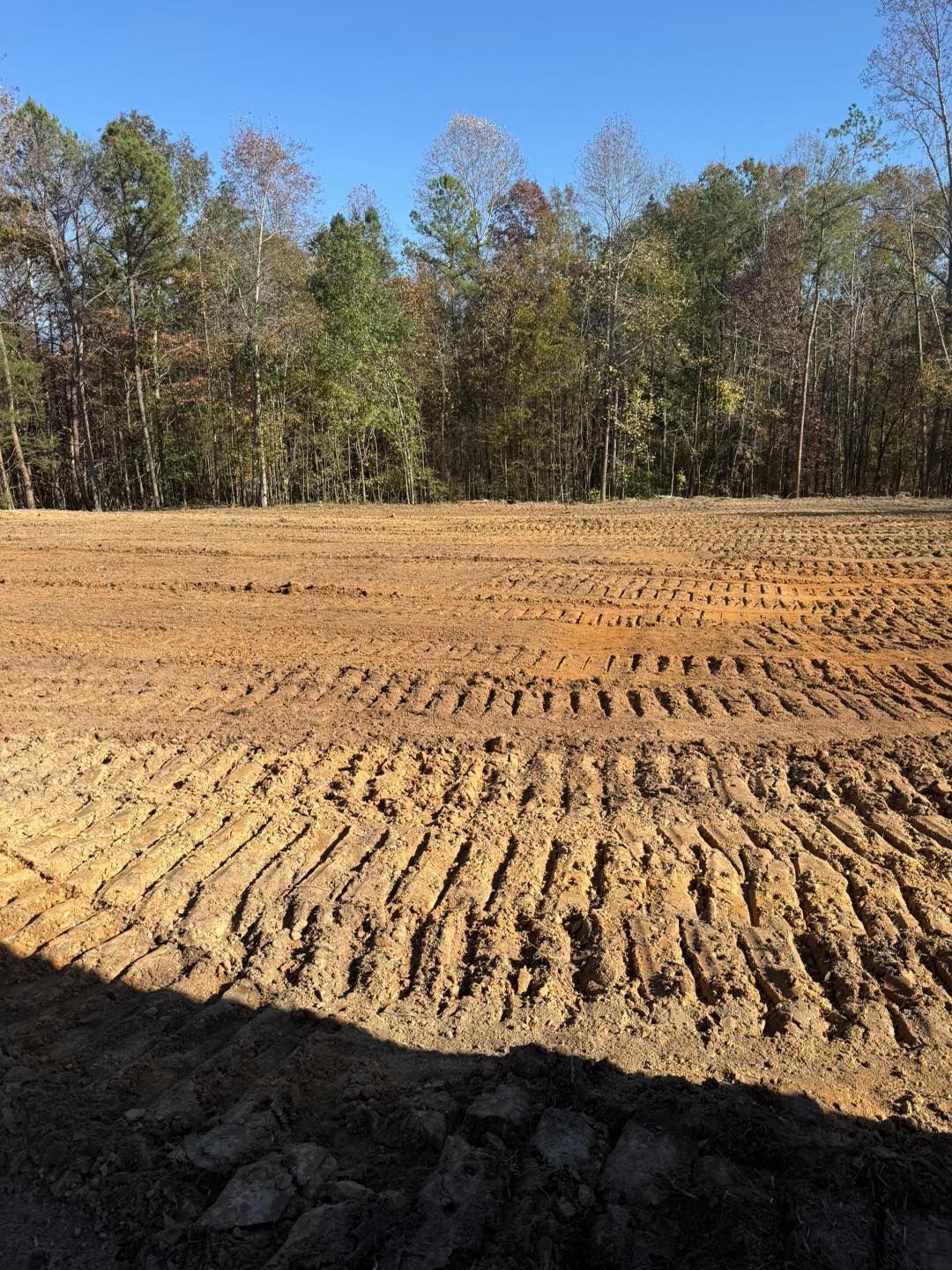 land_clearing_spartanburg