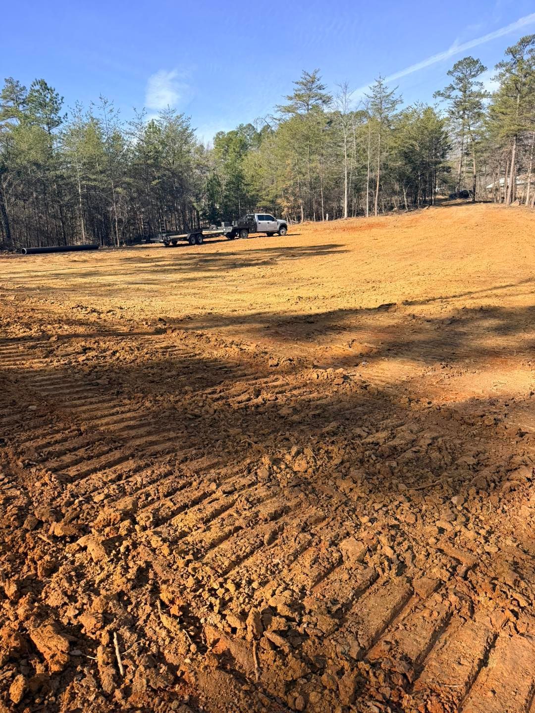 land-clearing-greenville