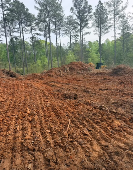 lot-clearing-spartanburg