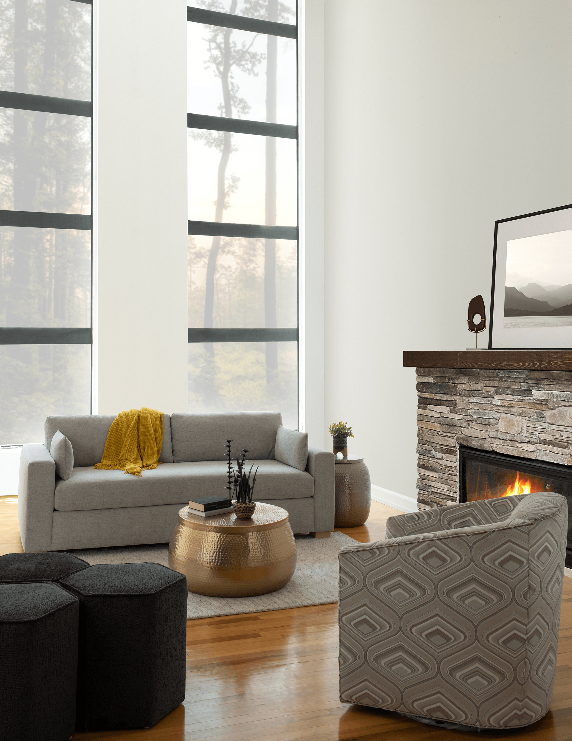 Modern Living Room Inspiration