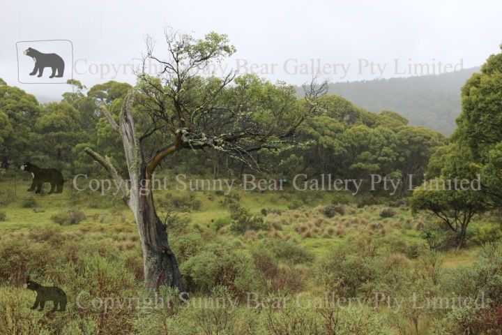 Photography picture