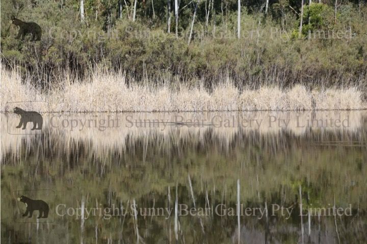 Photography picture
