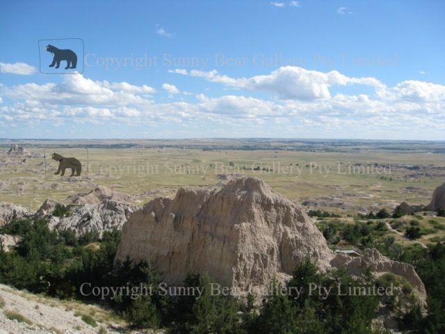 Photography picture