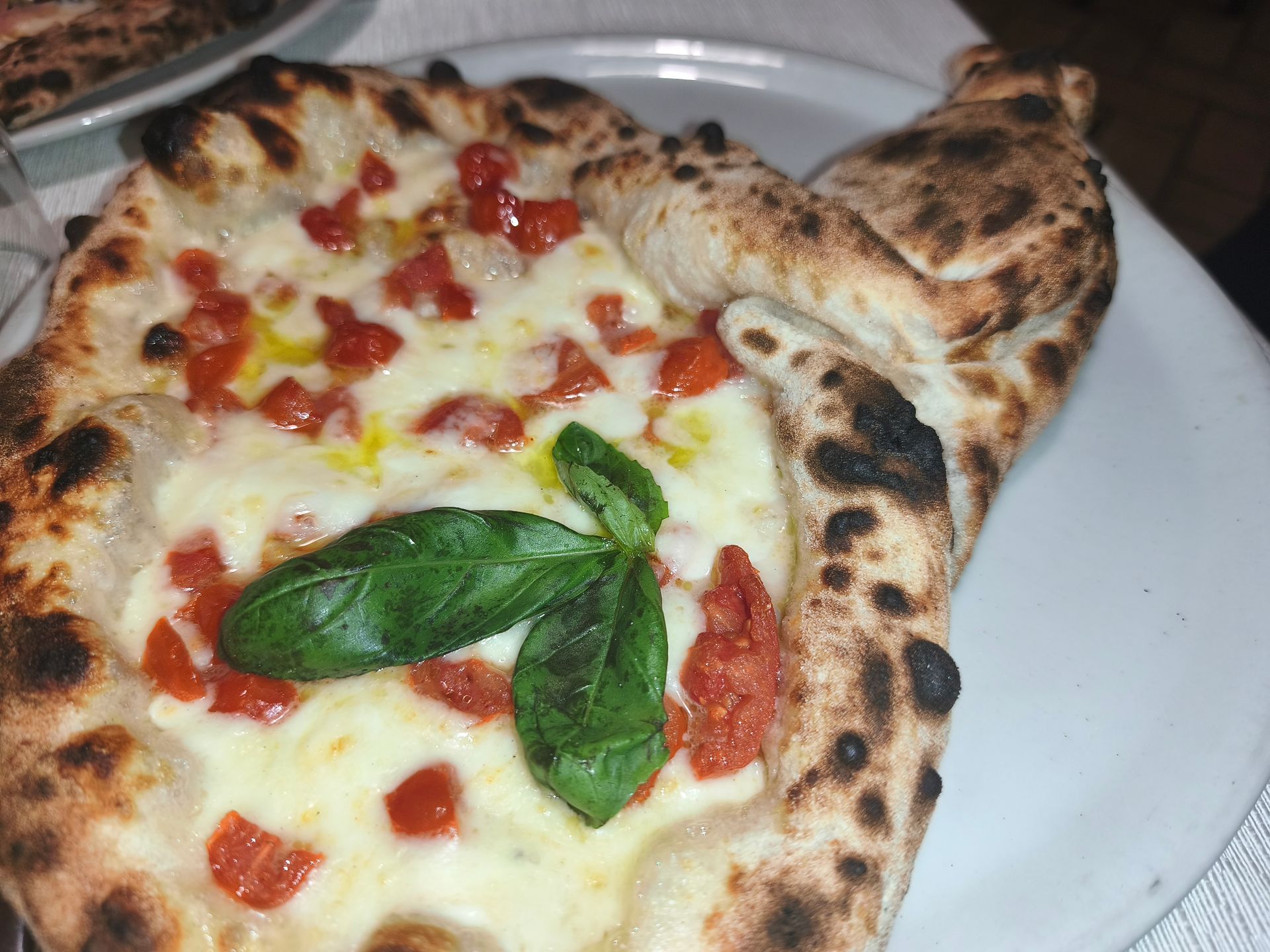 Primo piano di una fetta di pizza con formaggio fuso, salsa di pomodoro, basilico e crosta bruciacchiata su un piatto.