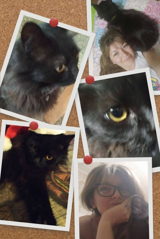 Collage de fotos: mujer y gato negro. Primeros planos del ojo y la cara del gato;