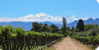 Mendoza en Bus Agos / Sept