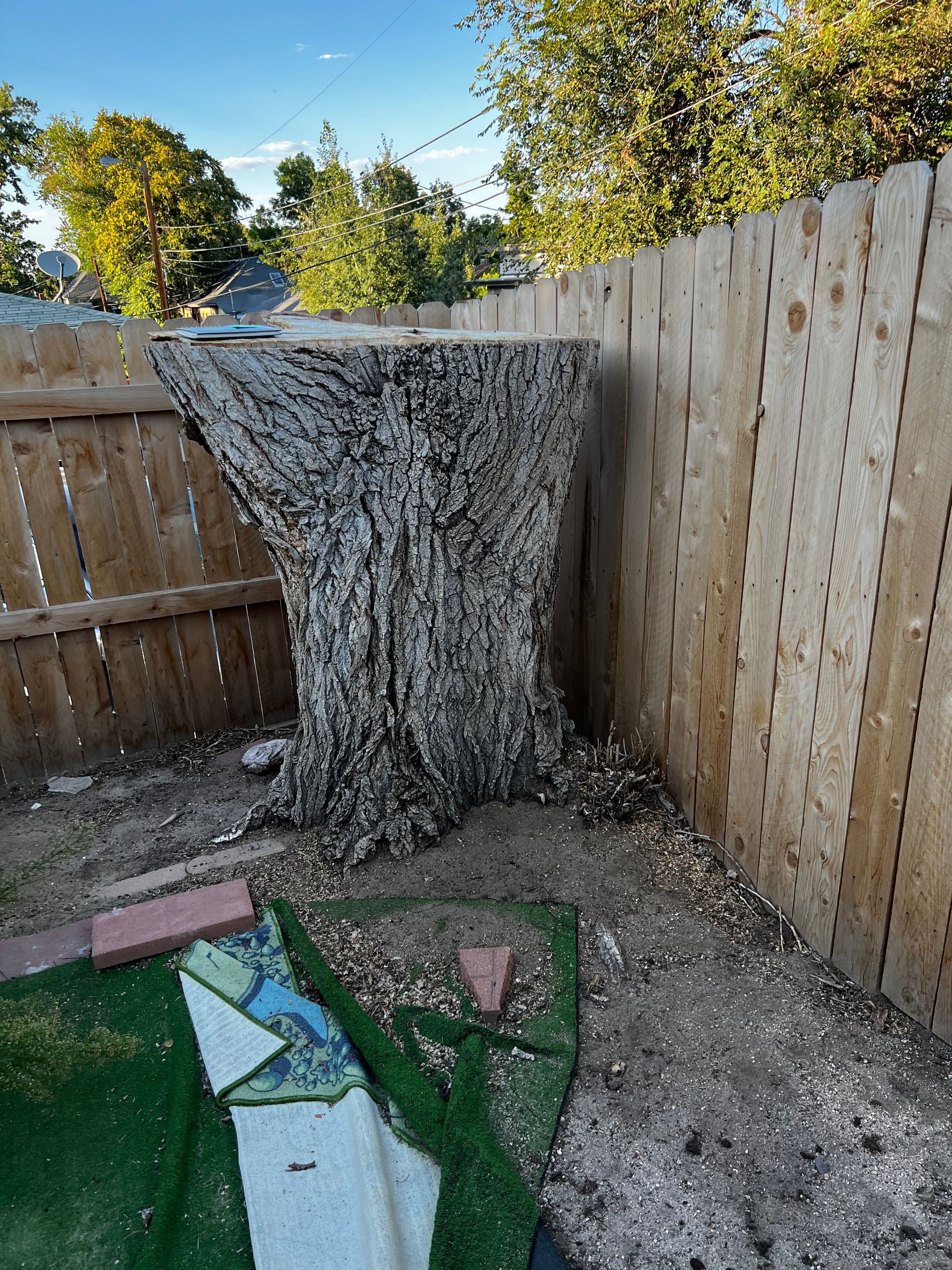 A man in a yellow hard hat is cutting a tree.