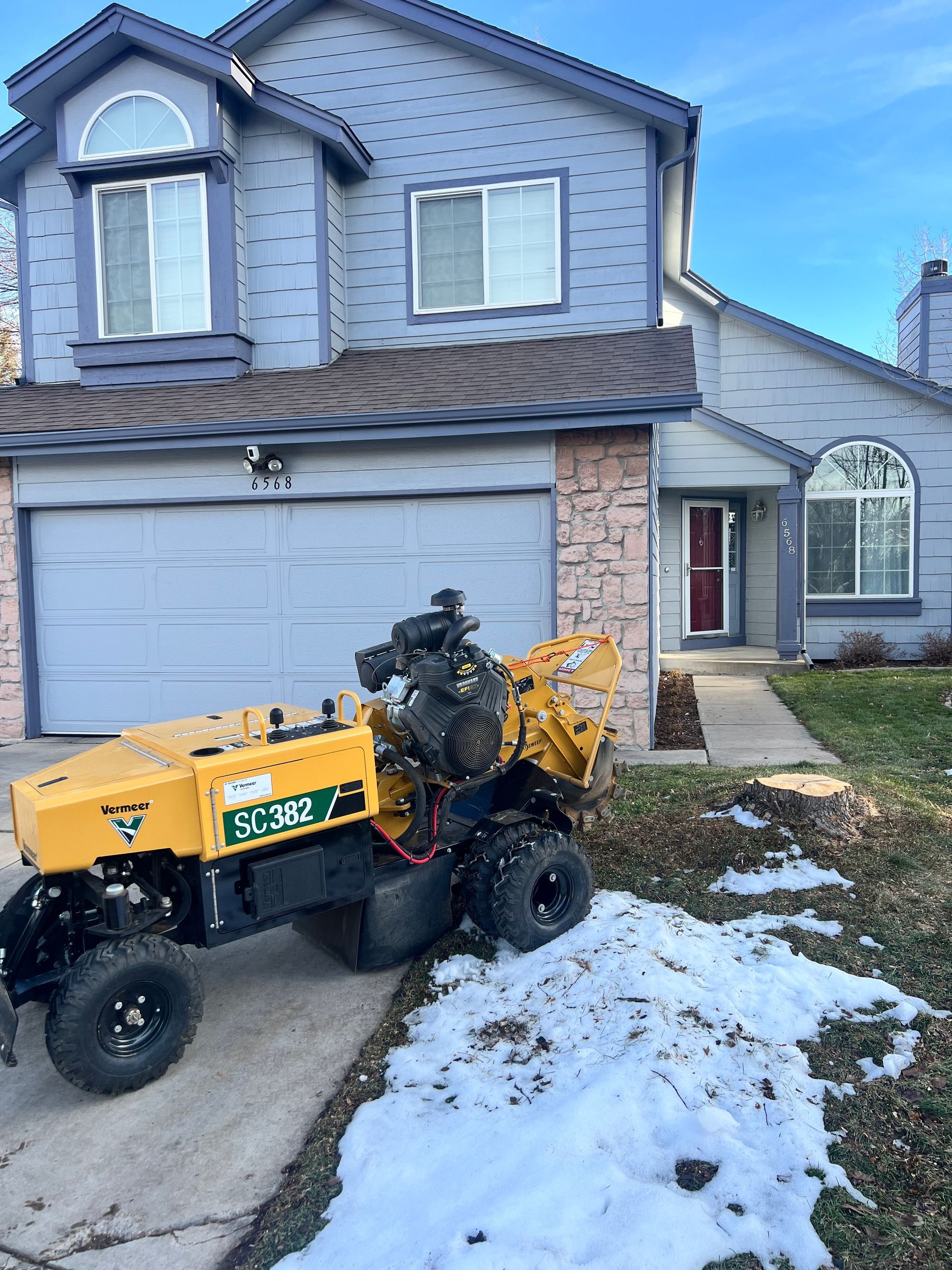 A tree stump grinder is cutting a tree stump in front of a house.
