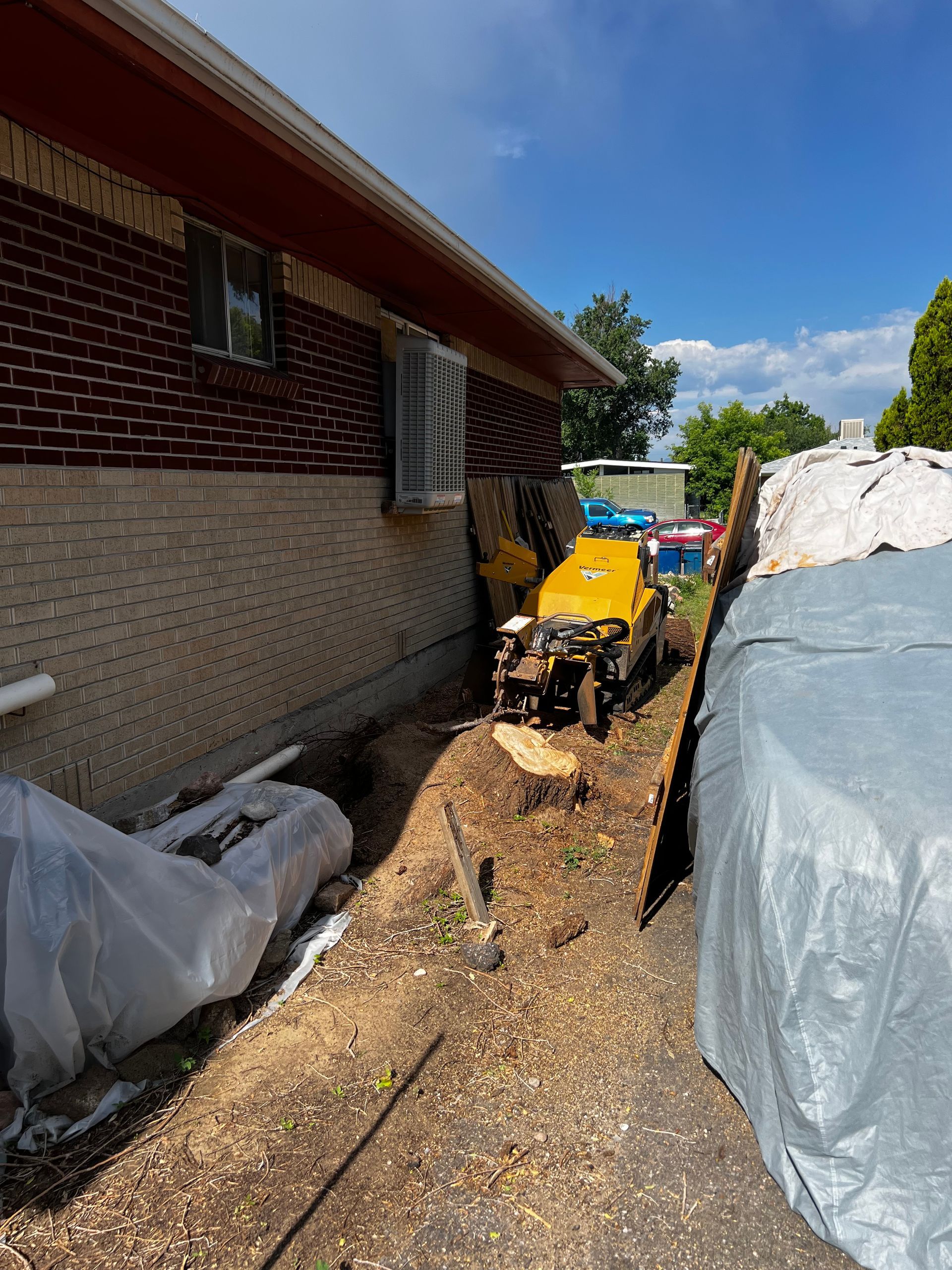 Removing big stumps in tight places. Denver, CO