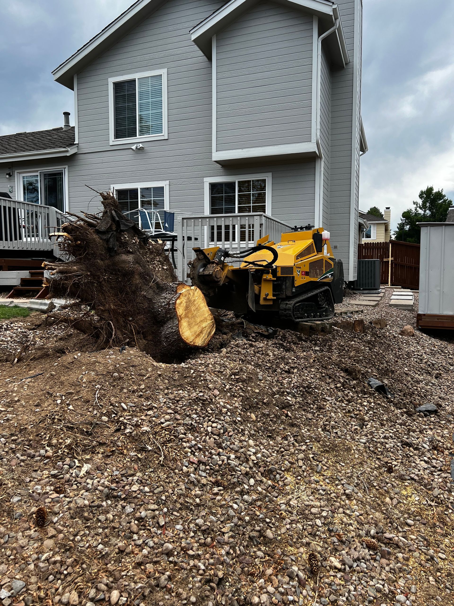 A large log is being lifted by a crane.